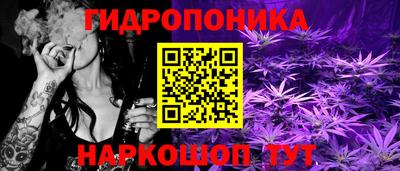 ГАЛЛЮЦИНОГЕННЫЕ ГРИБЫ Ирбит
